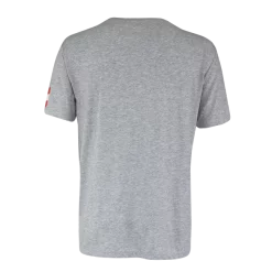 T-shirt Pour Homme CCM FLAG TEE TEAM AUSTRIA Athletic Grey 7 T-shirt Pour Homme CCM FLAG TEE TEAM AUSTRIA Athletic Grey -CCM Boutique t shirt pour homme ccm flag tee team austria athletic grey 153831 650x650 g1
